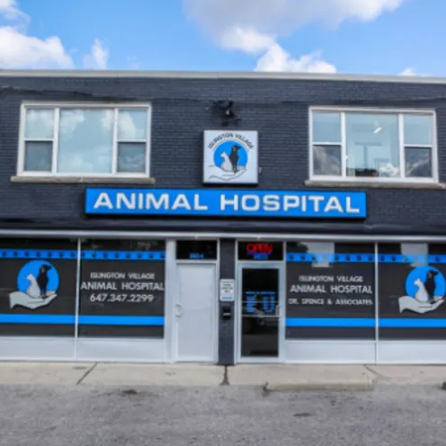 Islington Village Animal Hospital Exterior